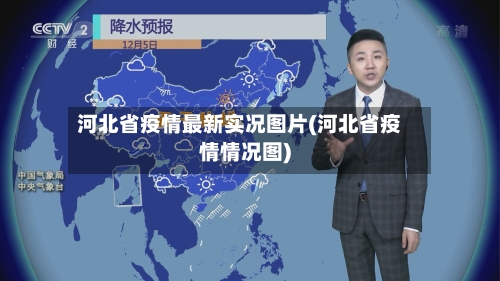 河北省疫情最新实况图片(河北省疫情情况图)-第2张图片