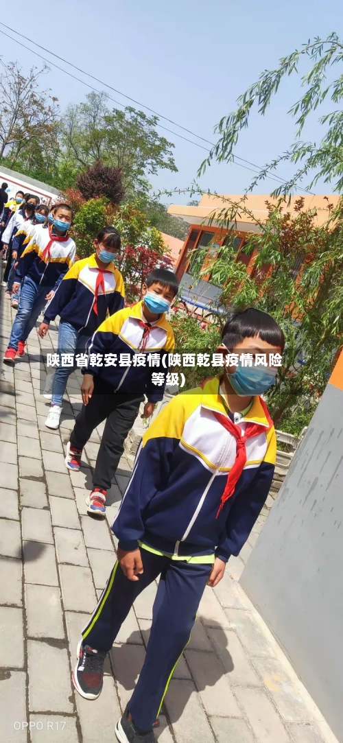 陕西省乾安县疫情(陕西乾县疫情风险等级)-第2张图片
