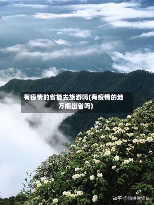 有疫情的省能去旅游吗(有疫情的地方能出省吗)-第2张图片