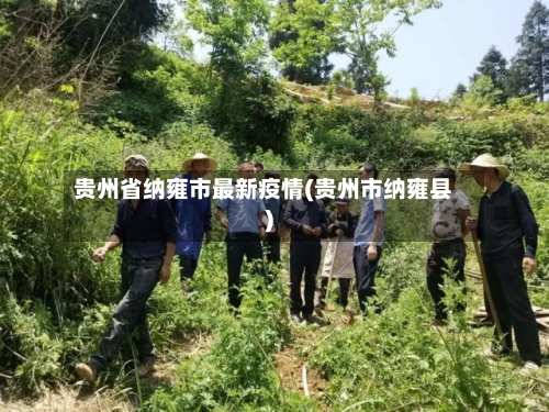 贵州省纳雍市最新疫情(贵州市纳雍县)-第3张图片