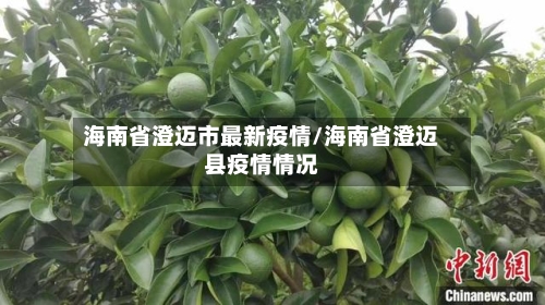 海南省澄迈市最新疫情/海南省澄迈县疫情情况-第3张图片
