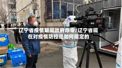 辽宁省疫情期间政府命令/辽宁省现在对疫情防控是如何规定的-第2张图片