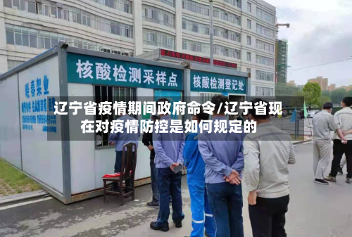 辽宁省疫情期间政府命令/辽宁省现在对疫情防控是如何规定的-第1张图片