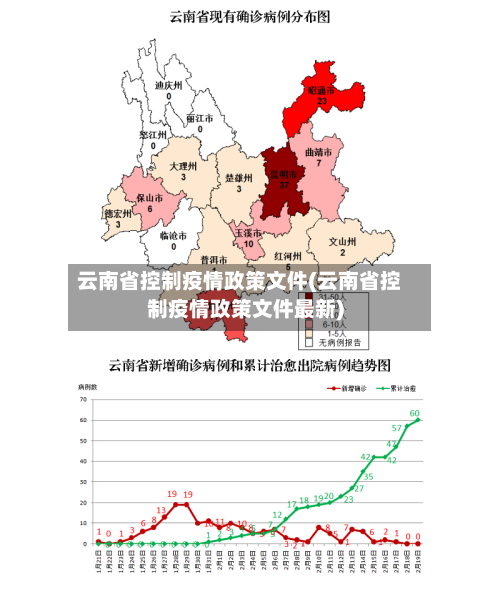 云南省控制疫情政策文件(云南省控制疫情政策文件最新)-第3张图片