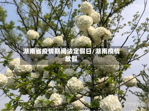 湖南省疫情期间法定假日/湖南疫情放假-第1张图片