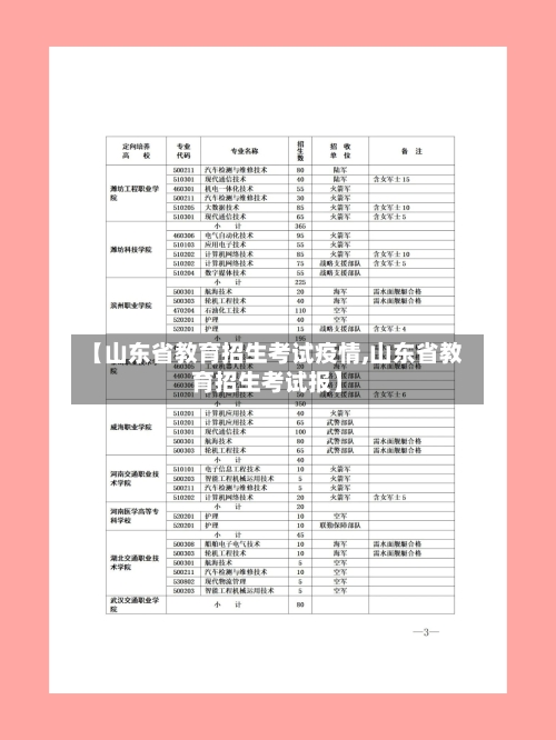 【山东省教育招生考试疫情,山东省教育招生考试报】-第2张图片