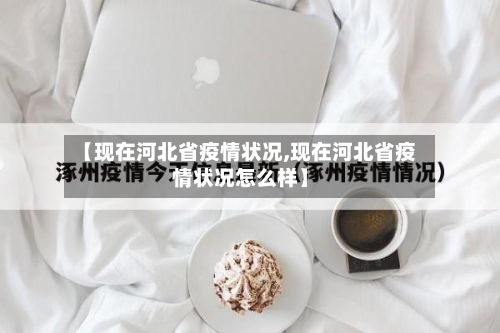 【现在河北省疫情状况,现在河北省疫情状况怎么样】-第2张图片