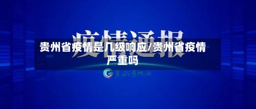贵州省疫情是几级响应/贵州省疫情严重吗-第2张图片