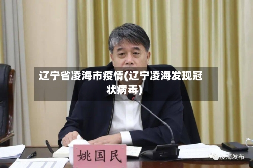 辽宁省凌海市疫情(辽宁凌海发现冠状病毒)-第1张图片