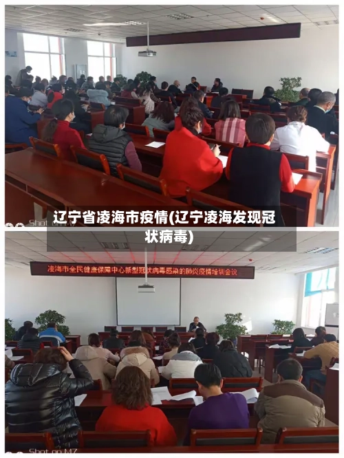 辽宁省凌海市疫情(辽宁凌海发现冠状病毒)-第2张图片