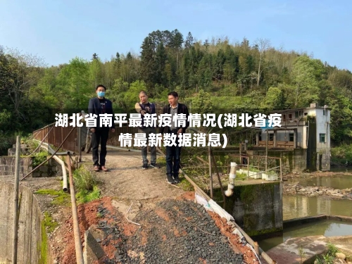湖北省南平最新疫情情况(湖北省疫情最新数据消息)-第2张图片