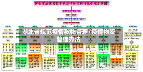 湖北省规范疫情款物管理/疫情物资管理办法-第1张图片
