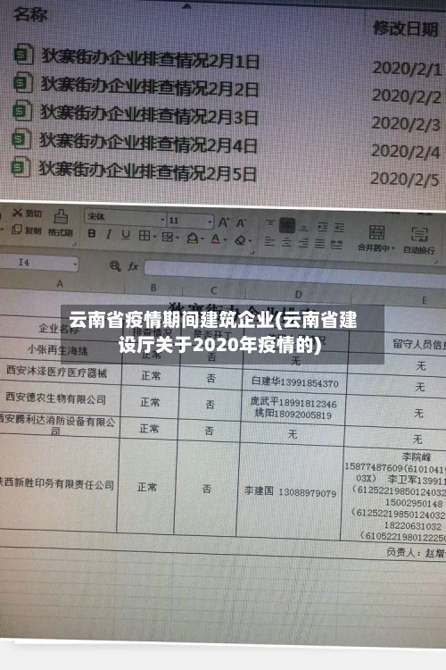 云南省疫情期间建筑企业(云南省建设厅关于2020年疫情的)-第2张图片