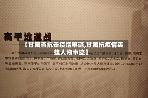 【甘肃省抗击疫情事迹,甘肃抗疫情英雄人物事迹】-第2张图片