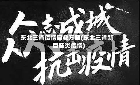 东北三省疫情自救方案(东北三省新型肺炎疫情)-第3张图片