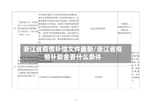 浙江省疫情补偿文件最新/浙江省疫情补助金要什么条件-第3张图片