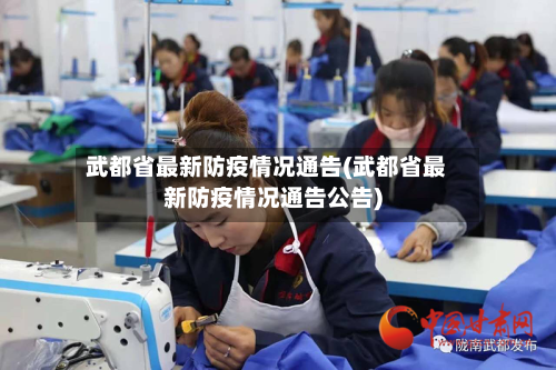 武都省最新防疫情况通告(武都省最新防疫情况通告公告)-第3张图片