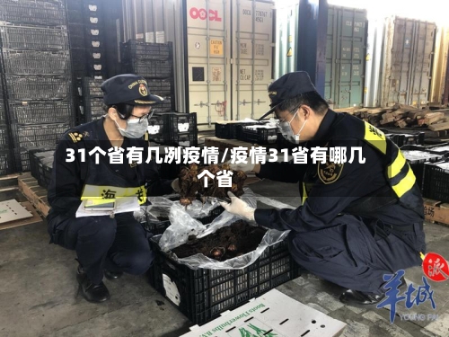 31个省有几冽疫情/疫情31省有哪几个省-第1张图片