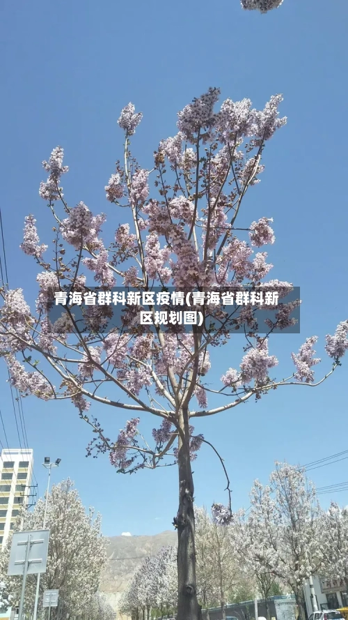 青海省群科新区疫情(青海省群科新区规划图)-第2张图片