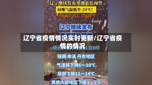 辽宁省疫情情况实时更新/辽宁省疫情的情况-第1张图片