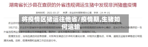 将疫情区猪运往他省/疫情期,生猪如何运输-第2张图片