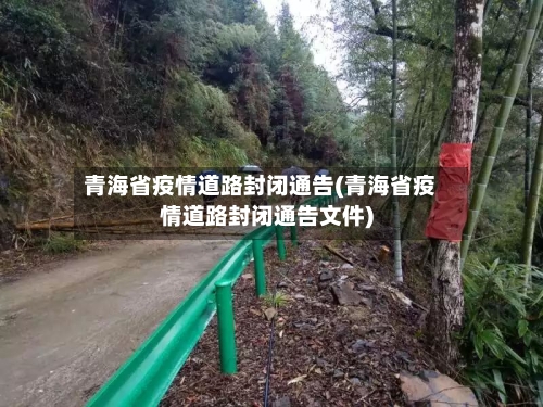 青海省疫情道路封闭通告(青海省疫情道路封闭通告文件)-第2张图片