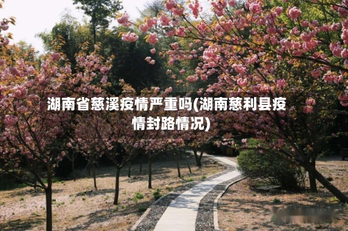 湖南省慈溪疫情严重吗(湖南慈利县疫情封路情况)-第2张图片