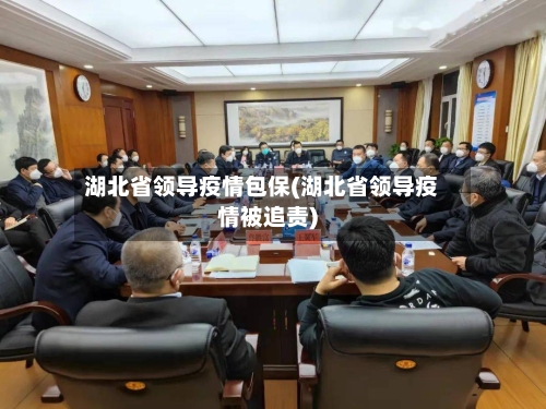 湖北省领导疫情包保(湖北省领导疫情被追责)-第1张图片