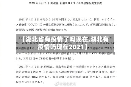 【湖北省有疫情了吗现在,湖北有疫情吗现在2021】-第3张图片
