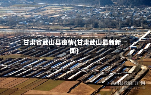 甘肃省武山县疫情(甘肃武山最新新闻)-第1张图片
