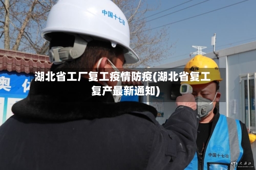 湖北省工厂复工疫情防疫(湖北省复工复产最新通知)-第2张图片