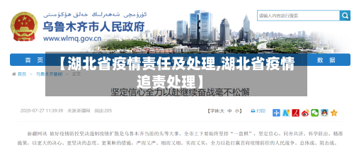 【湖北省疫情责任及处理,湖北省疫情追责处理】-第3张图片