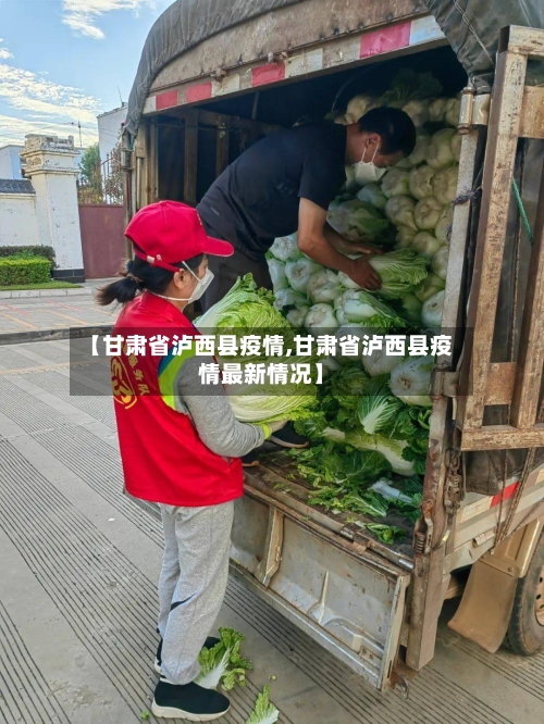【甘肃省泸西县疫情,甘肃省泸西县疫情最新情况】-第2张图片