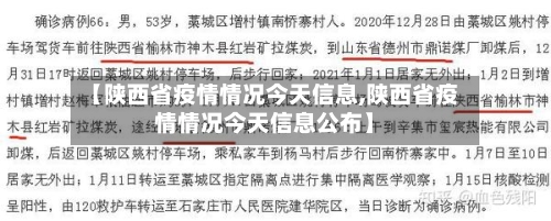 【陕西省疫情情况今天信息,陕西省疫情情况今天信息公布】-第1张图片