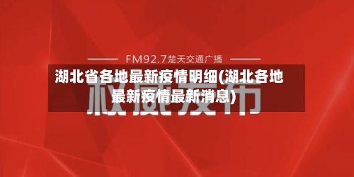 湖北省各地最新疫情明细(湖北各地最新疫情最新消息)-第1张图片
