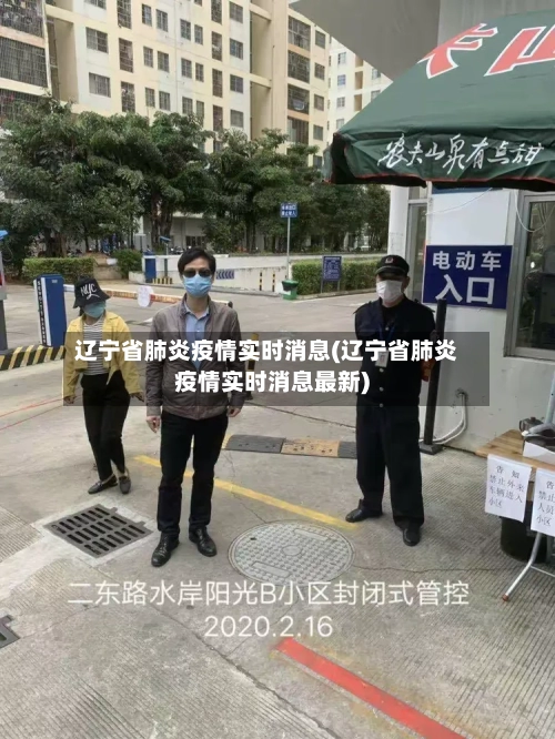 辽宁省肺炎疫情实时消息(辽宁省肺炎疫情实时消息最新)-第2张图片