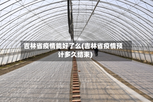 吉林省疫情能好了么(吉林省疫情预计多久结束)-第2张图片