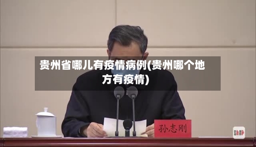 贵州省哪儿有疫情病例(贵州哪个地方有疫情)-第2张图片