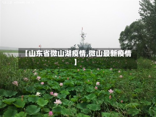 【山东省微山湖疫情,微山最新疫情】-第2张图片