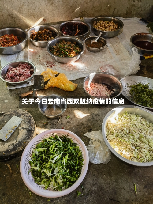 关于今日云南省西双版纳疫情的信息-第2张图片