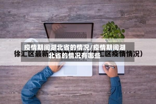 疫情期间湖北省的情况/疫情期间湖北省的情况有哪些-第2张图片