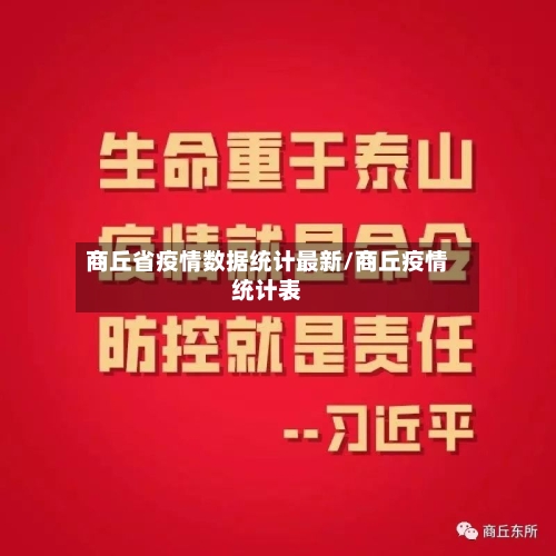 商丘省疫情数据统计最新/商丘疫情统计表-第1张图片