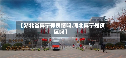【湖北省咸宁有疫情吗,湖北咸宁是疫区吗】-第2张图片