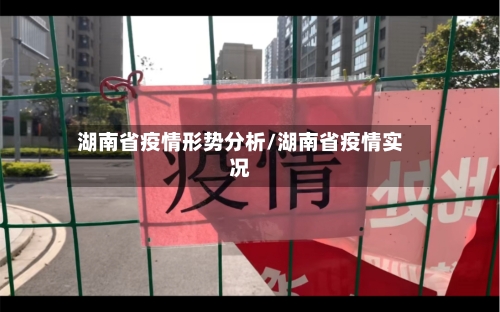 湖南省疫情形势分析/湖南省疫情实况-第1张图片