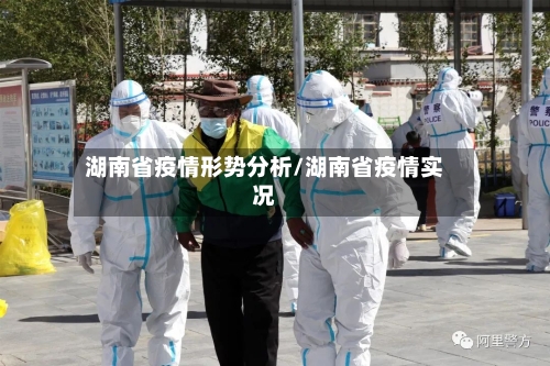 湖南省疫情形势分析/湖南省疫情实况-第2张图片