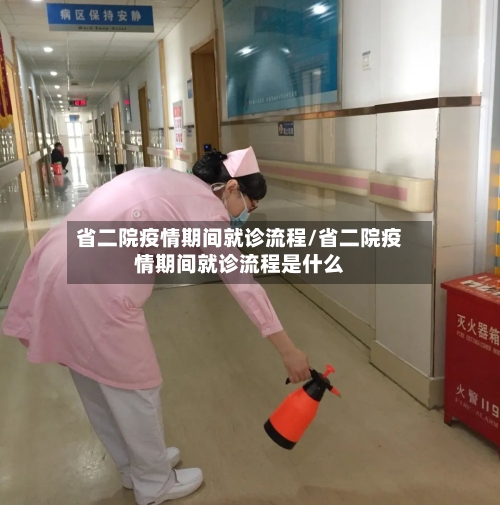 省二院疫情期间就诊流程/省二院疫情期间就诊流程是什么-第1张图片