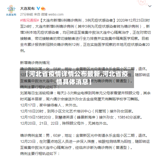 【河北省疫情详情公布最新,河北省疫情具体消息】-第2张图片
