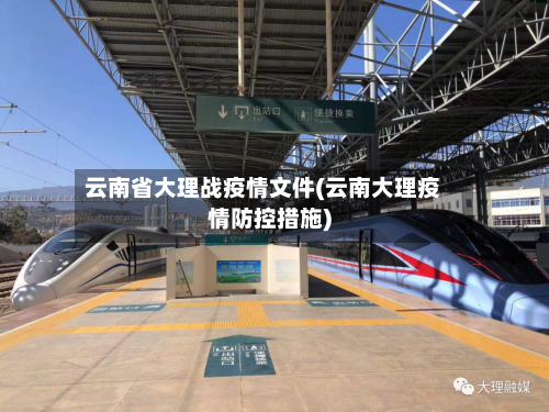 云南省大理战疫情文件(云南大理疫情防控措施)-第2张图片