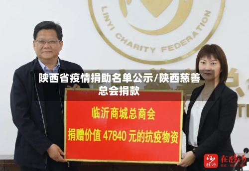 陕西省疫情捐助名单公示/陕西慈善总会捐款-第3张图片