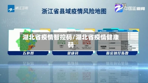 湖北省疫情智控码/湖北省疫情健康码-第3张图片